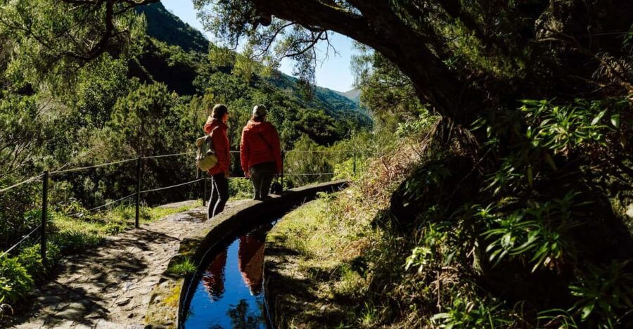 From Funchal/Caniço: Rabaçal Hike (25 Fontes) Bus Transfer - Introduction: Why This Rabaçal Hike Transfer Is Worth Considering