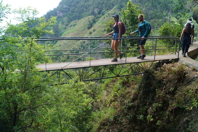From Funchal: Wet your hair in the amazing Moinhos Levada - Exploring Madeira’s Moinhos Levada