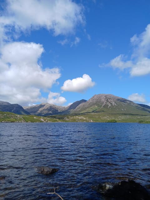 From Galway: City pub/music scene and hikes in Connemara - A Detailed Look at the Tour Experience