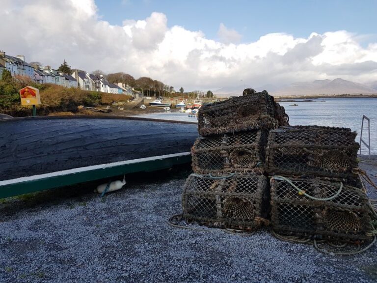 From Galway: Connemara and Kylemore Abbey Day Tour