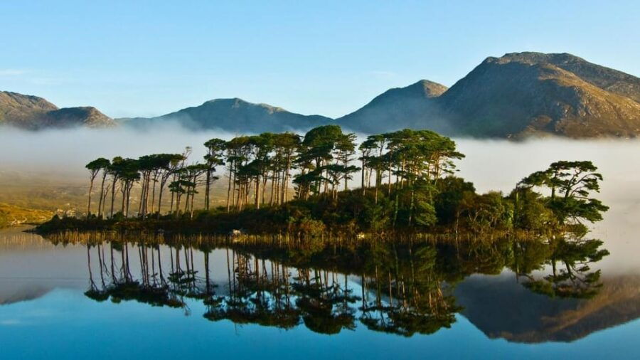 From Galway: Connemara, Kylemore Abbey or National Park Tour - What Makes This Tour Special?