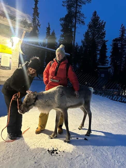 From Helsinki: 7-Day Lapland Northern Lights Tour - Starting Point & Helsinki Overview