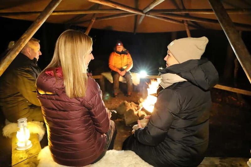 From Helsinki: Guided Forest Walk in the dark with campfire - What to Expect on Your Forest Night Walk