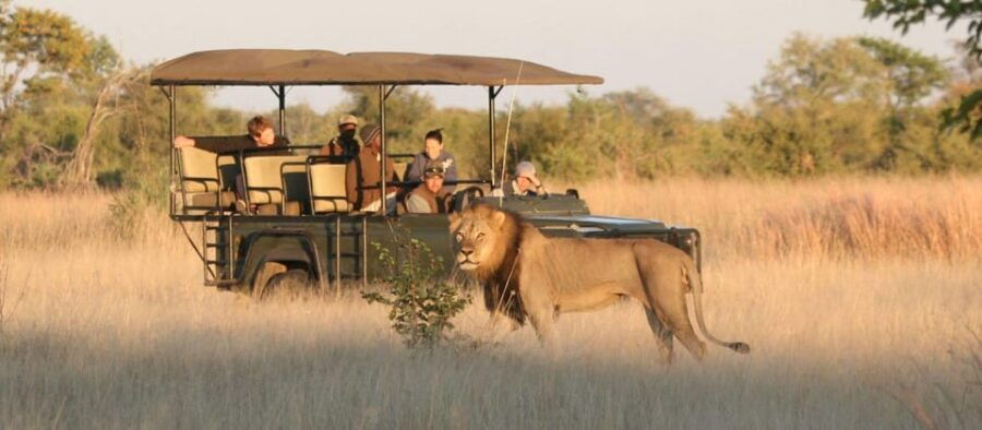 From Johannesburg: 12-Day Private Tour to Cape Town - FAQ