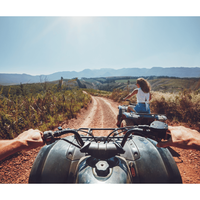 From Johannesburg: North West Safari and Quad Biking Tour