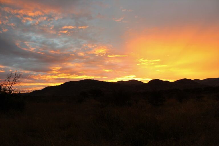 From Johannesburg: Pilanesberg Nature Reserve Game Safari
