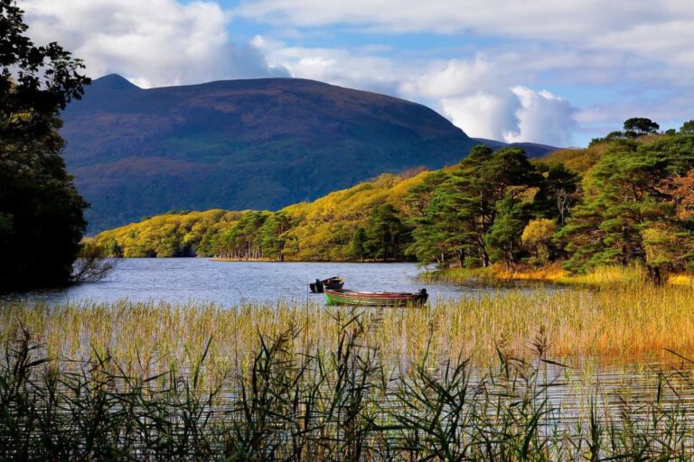 From Killarney: Ring of Kerry Full-Day Tour