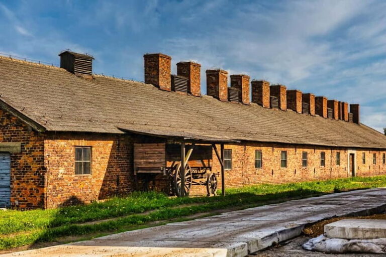 From Krakow: Auschwitz-Birkenau Guided Tour & Transport