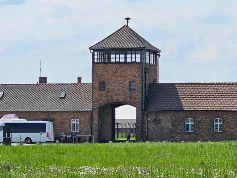 From Krakow: Auschwitz-Birkenau Guided Tour with Pickup