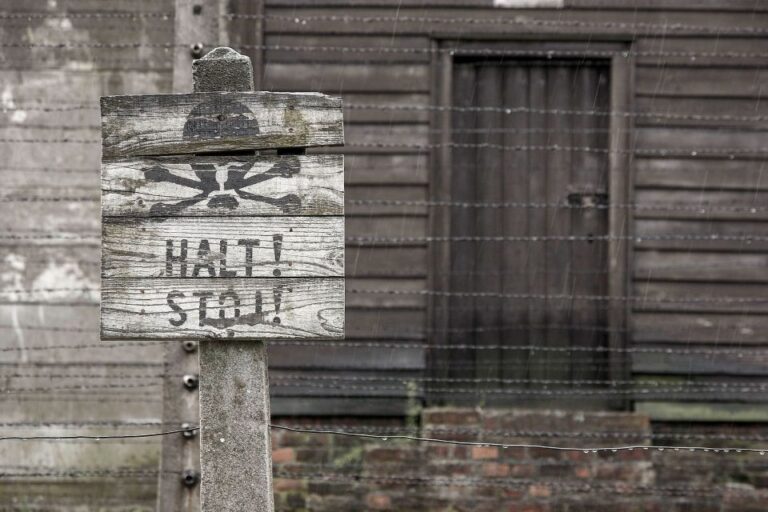 From Krakow: Auschwitz-Birkenau & Schindler’s Factory Tour