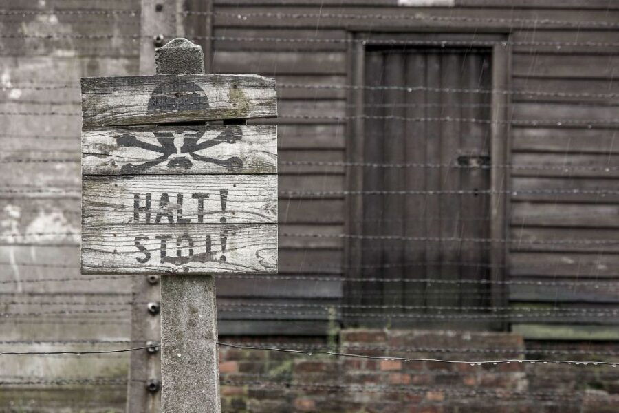 From Krakow: Auschwitz-Birkenau & Schindler's Factory Tour - Good To Know