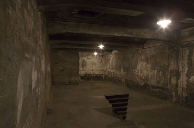 From Krakow: Auschwitz-Birkenau Tour
