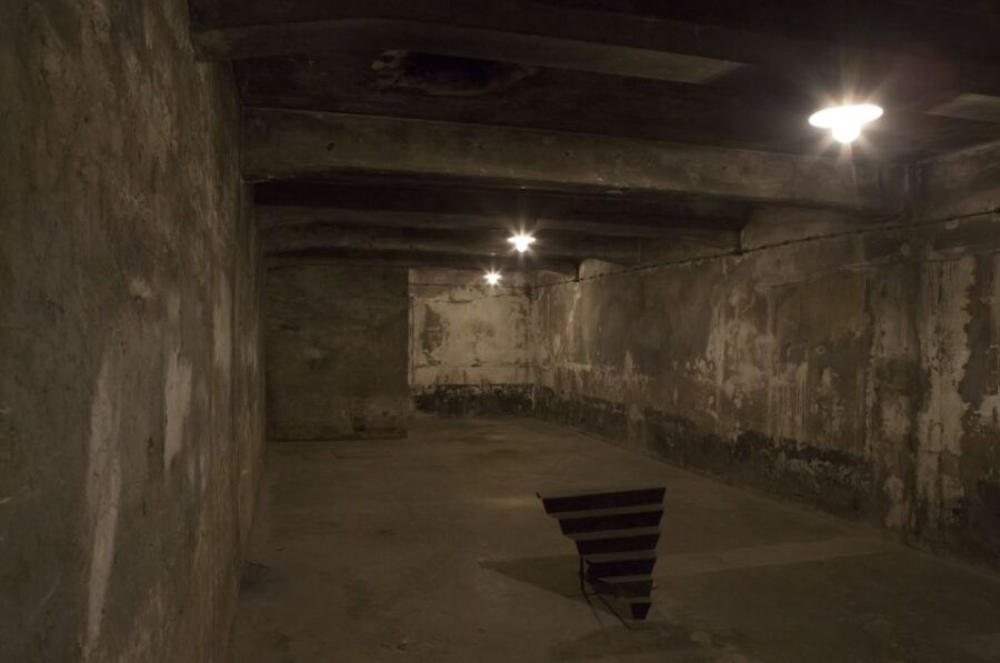 From Krakow: Auschwitz-Birkenau Tour - Good To Know