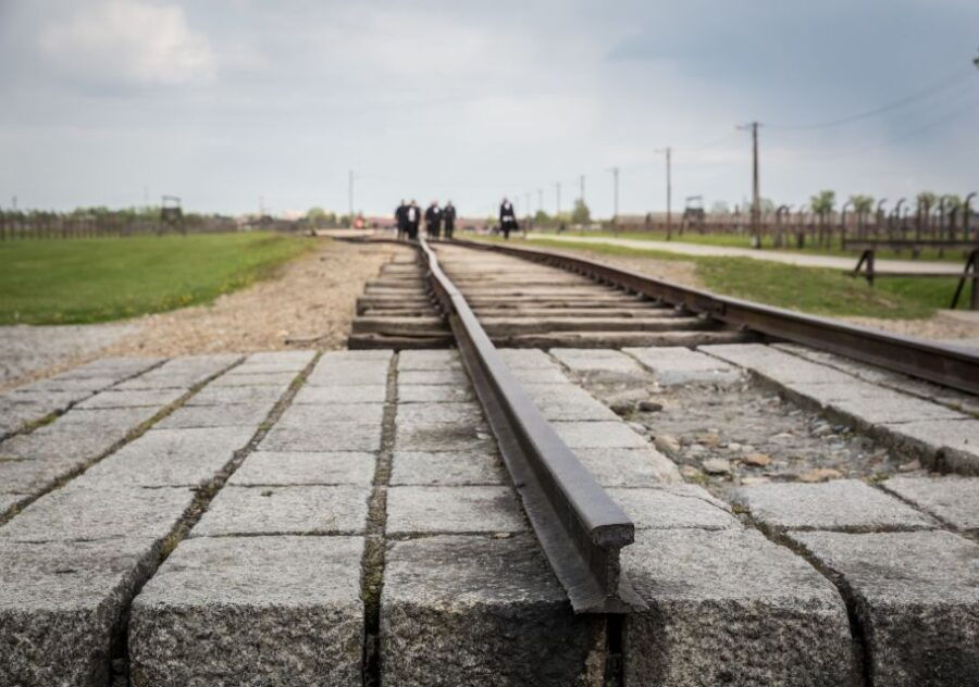 From Krakow: Auschwitz Birkenau Tour with Transfer - In-Depth Breakdown of the Tour Experience