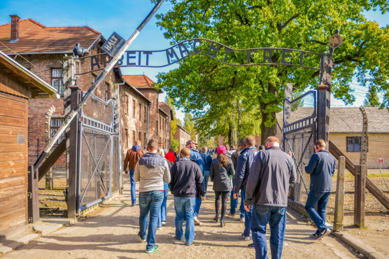 From Krakow: Auschwitz-Birkenau Tour with Transportation