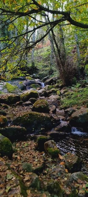 From Lagos: Monchique Private Guided Hike + Medronho Tasting - The Itinerary Breakdown: What You’ll Experience