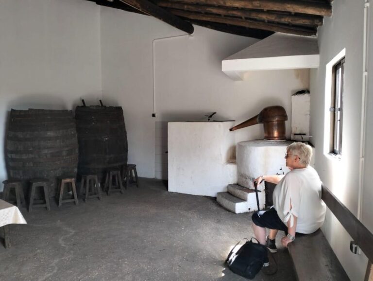 From Lagos: Private Tour with Medronho Tasting