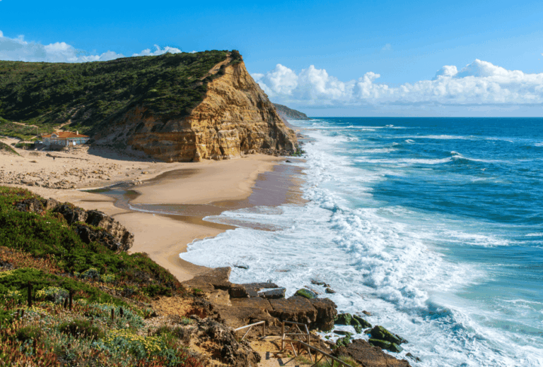 From Lisbon: Mafra Palace and Ericeira – Heritage and the Portuguese Coast