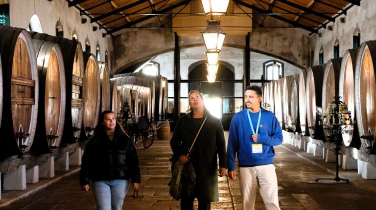 From Lisbon: Sintra, Pena Palace, Cascais and Wine Tasting
