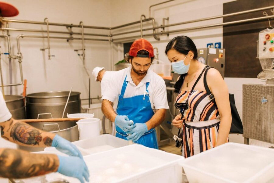 From Matera: Altamura Cheese and Pastry Tasting Day Trip - A Detailed Look at the Altamura Cheese and Pastry Tour