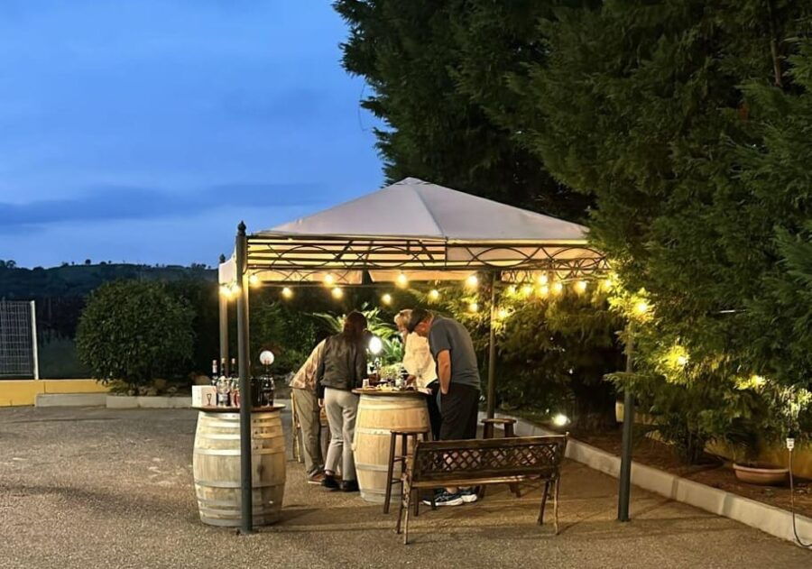 From Matera: Half-Day Wine Tour to Ginosa with Tasting - Who Should Consider This Tour?