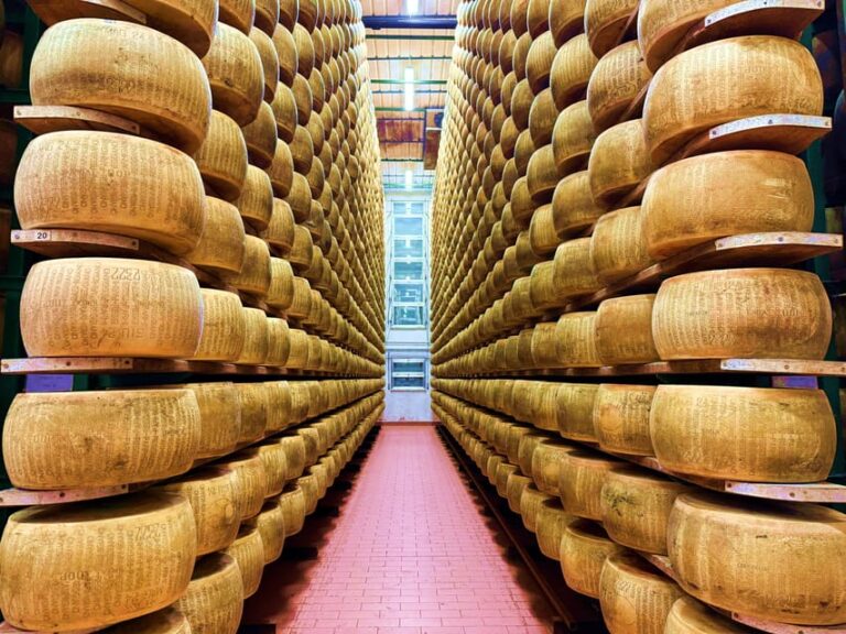 From Milan: Food Valley with Cheese Factory Visit and Lunch