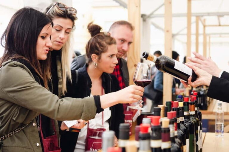 From Milan: Langhe Wine Region Day Trip with Barolo Tasting