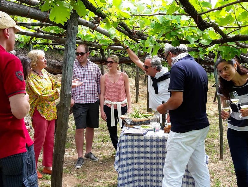From Naples: Amalfi Coast Tour and Wine Tasting with Lunch - An Overview of the Amalfi Coast Tour Experience