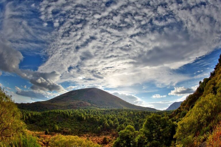 From Naples: Pompeii and Vesuvius Full-Day Tour with Lunch