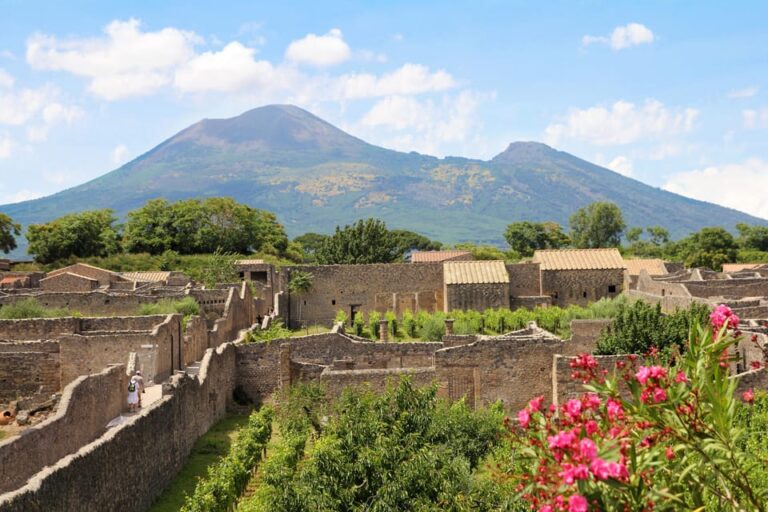 From Naples Port:Pompeii+Vesuvius tour