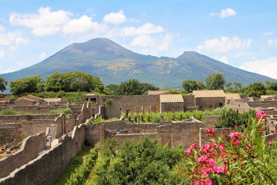 From Naples Port:Pompeii+Vesuvius tour - Exploring the Itinerary in Detail