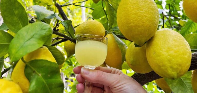 From Naples: Sorrento and Positano Private Day Tour