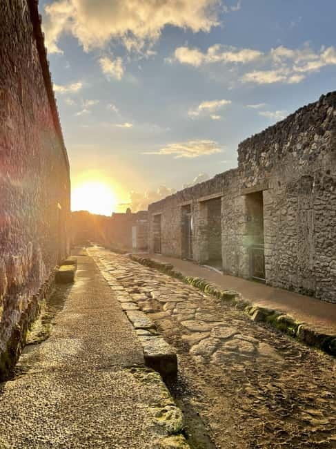 From Napoli: Driver and Skip the Line Guided Tour of Pompeii