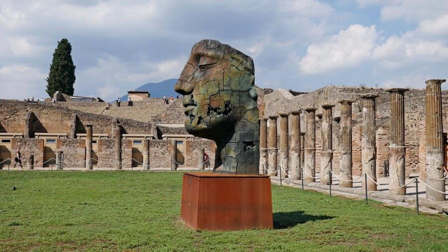 From Paestum:Pompeii guided Tour with Wine Tasting and lunch - Good To Know  