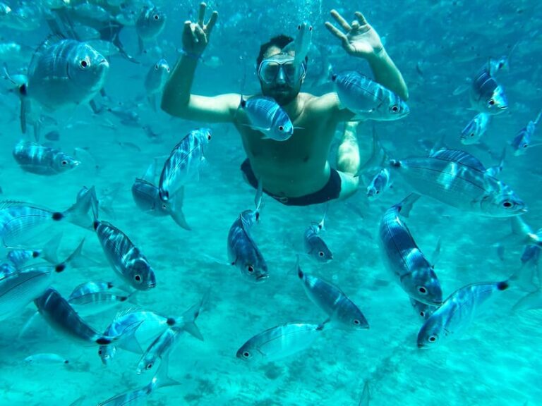 From Palau: La Maddalena Archipelago Catamaran Tour w/ Lunch