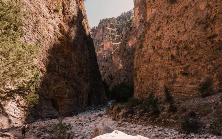 From Panormo or Lavris: Samaria Gorge Hike with Guide
