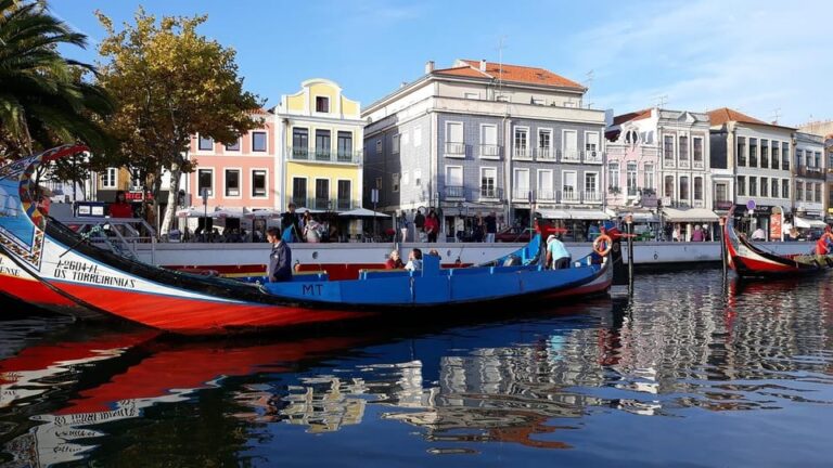 From Porto: Aveiro Half Day Tour
