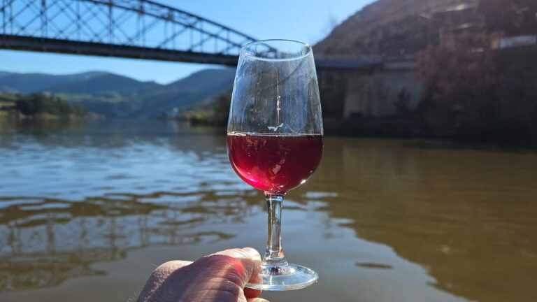 From Porto Day Douro Valley Wine Tour 2 Wine Tasting & Lunch