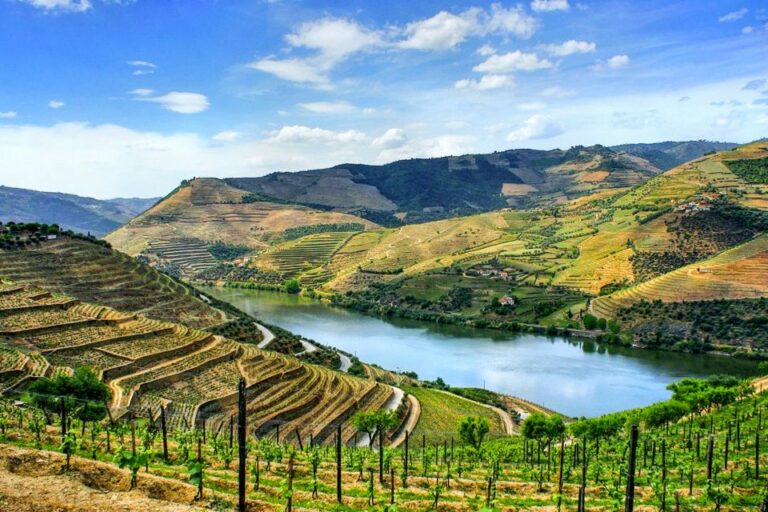 From Porto: Douro Valley with Wineries, Lunch and Boat Trip