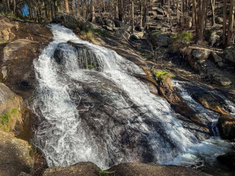 From Porto: Forest Waterfalls & Roman Ruins Trail Tour