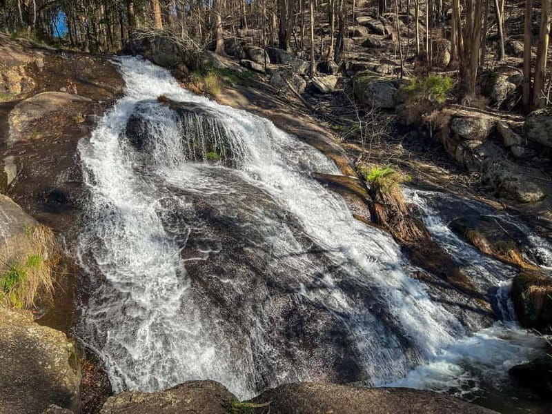 From Porto: Forest Waterfalls & Roman Ruins Trail Tour - Exploring Porto’s Hidden Natural Beauty