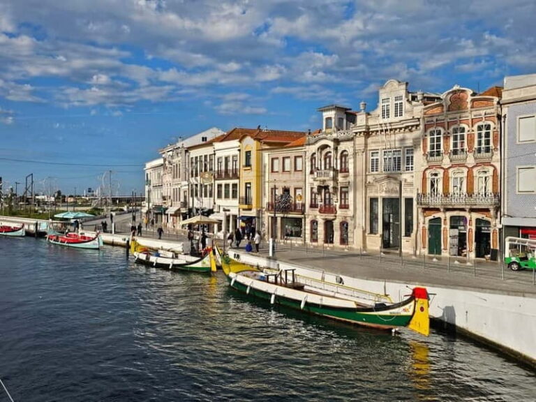 From Porto to Aveiro: Cruise, Aves, Salinas, Costa Nova, and Vista Alegre
