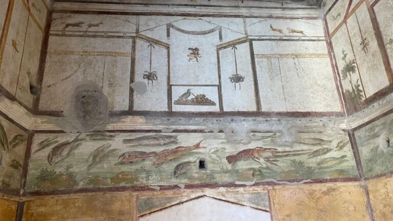 From Positano: Pompeii & Vesuvius tour small group