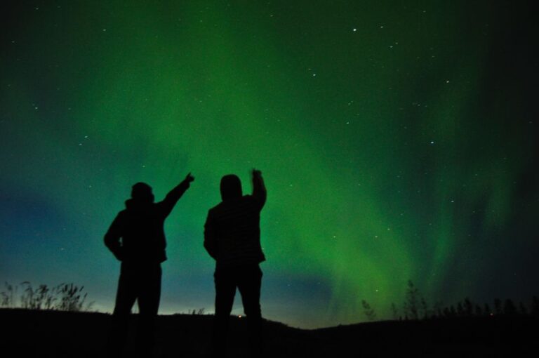 From Reykjavík: Northern Lights Tour with Hot Cocoa & Photos