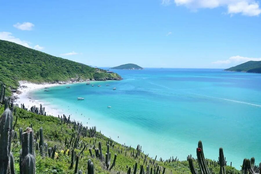 From Rio de Janeiro: Arraial do Cabo Island Day Trip - An In-Depth Look at the Arraial do Cabo Day Trip