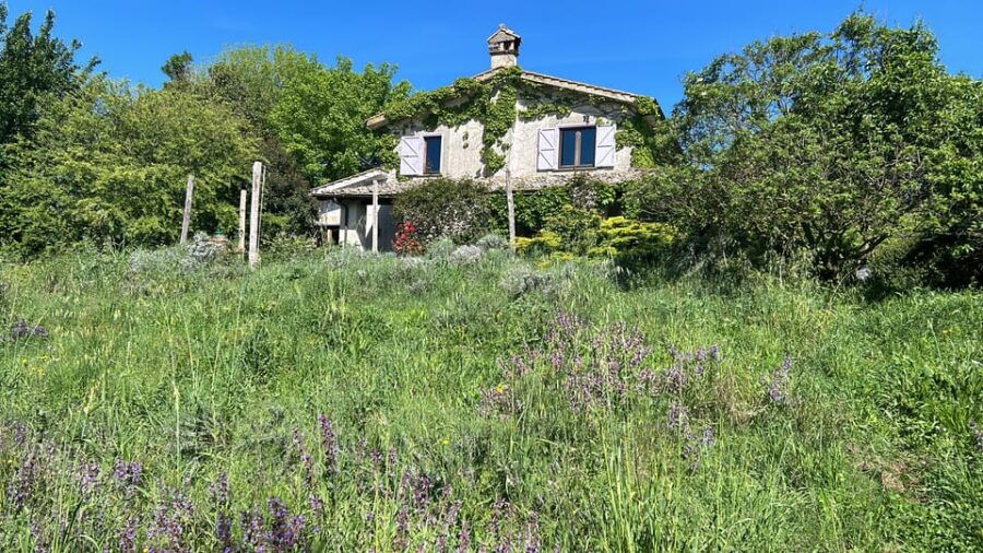 From Rome: Bracciano Lake & Calcata Day Trip, Wines & Lunch - Authentic Experiences Highlighted by Guests