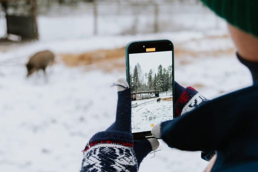 From Rovaniemi: Family Friendly Visit to Ranua Wildlife Park - Who Will Love This Tour?  