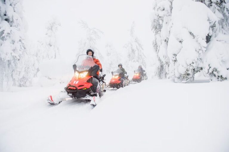 From Rovaniemi: Guided Lapland Snowmobile Adventure