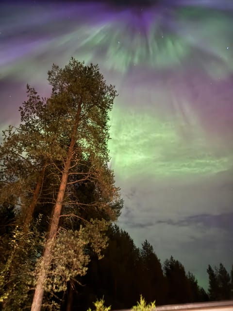 From Rovaniemi: Northern Lights Tour with Campfire Snacks
