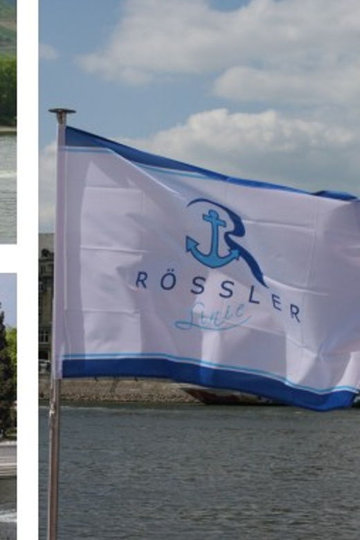 From Rüdesheim: 1.5-Hour Boat Cruise with Wine Tasting - What to Expect on the Cruise